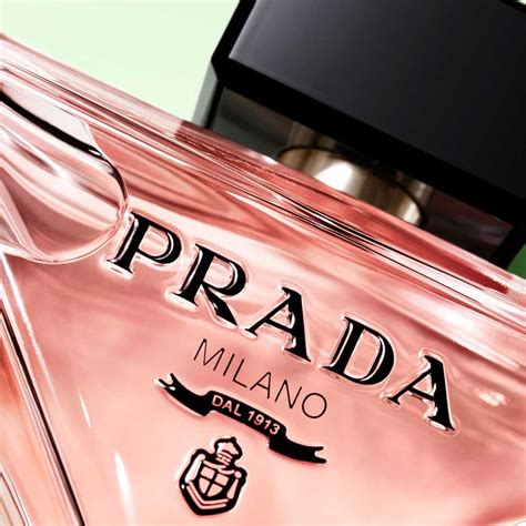 nuovo profumo prada donna|Paradoxe .